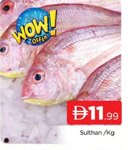 available at AL MADINA (Dubai) in UAE - Dubai