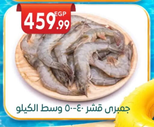 available at أولاد المحاوى in Egypt - القاهرة