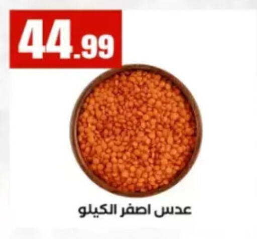 available at El Mahlawy Stores in Egypt - Cairo