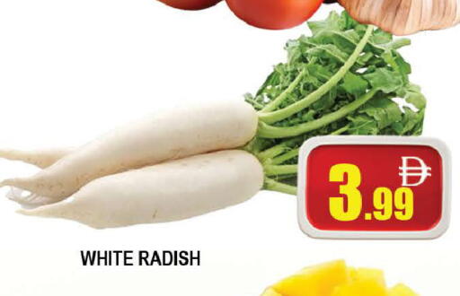 Radish available at AL MADINA (Dubai) in UAE - Dubai