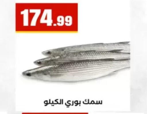 available at El Mahlawy Stores in Egypt - Cairo