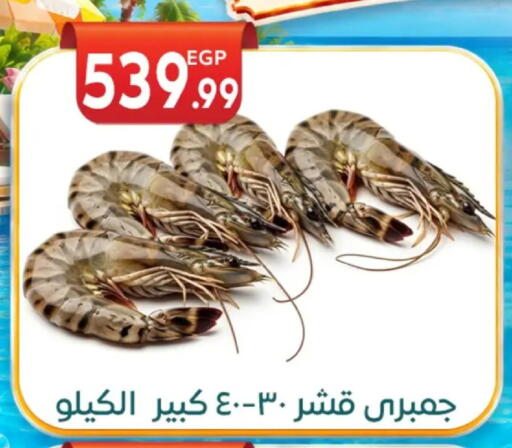 available at أولاد المحاوى in Egypt - القاهرة