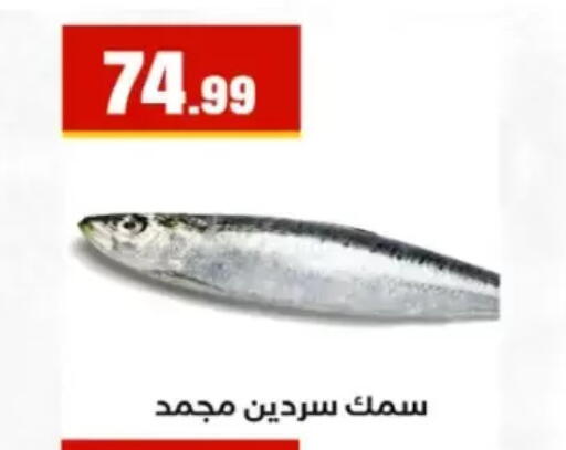 available at El Mahlawy Stores in Egypt - Cairo