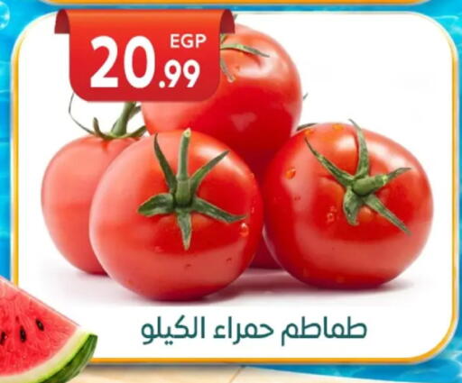 available at أولاد المحاوى in Egypt - القاهرة