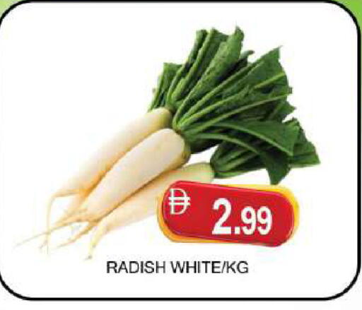 Radish available at AL MADINA (Dubai) in UAE - Dubai