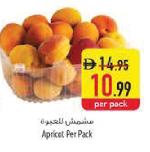 Apricot available at Safeer Market in UAE - Ras al Khaimah