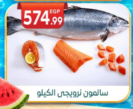 available at أولاد المحاوى in Egypt - القاهرة