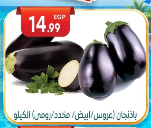 available at أولاد المحاوى in Egypt - القاهرة