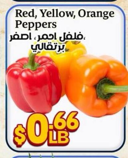 Orange available at هايبر ماركت دريم in Egypt - القاهرة
