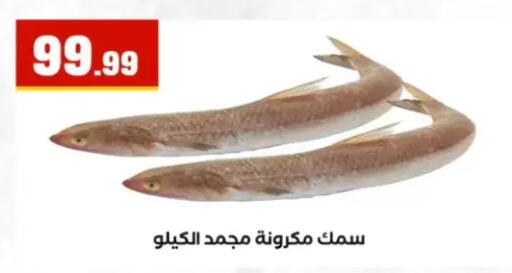 available at El Mahlawy Stores in Egypt - Cairo