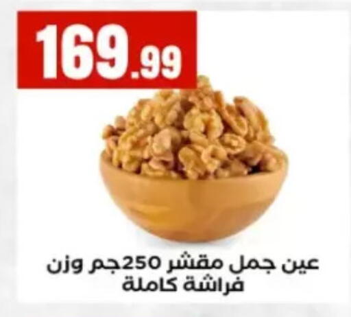 available at المحلاوي ستورز in Egypt - القاهرة