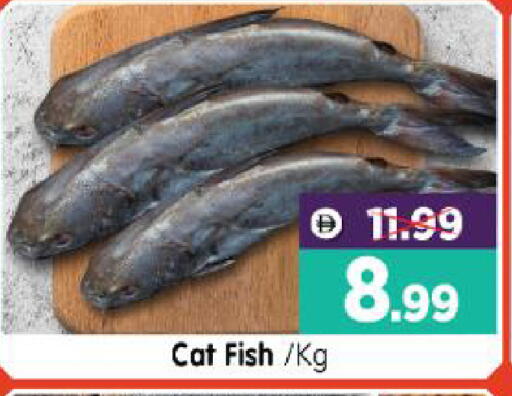 available at هايبر ماركت المدينة in الإمارات العربية المتحدة , الامارات - أبو ظبي