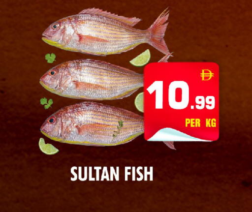 available at NIGHT TO NIGHT DEPARTMENT STORE in UAE - Sharjah / Ajman