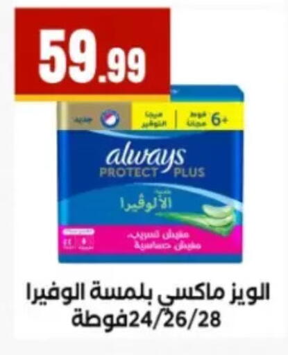 available at El Mahlawy Stores in Egypt - Cairo