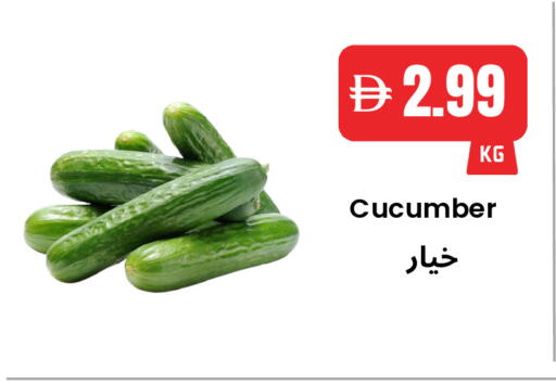 Cucumber available at Best Coop Discounts Hypermarket in UAE - Dubai