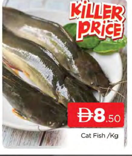 available at AL MADINA (Dubai) in UAE - Dubai