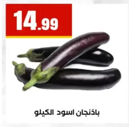 available at El Mahlawy Stores in Egypt - Cairo