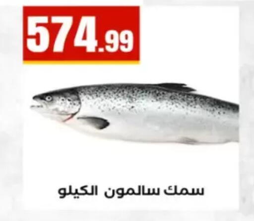 available at El Mahlawy Stores in Egypt - Cairo