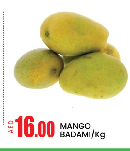 Mango available at Mango Hypermarket LLC in UAE - Dubai