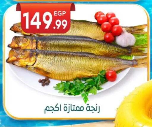 available at أولاد المحاوى in Egypt - القاهرة