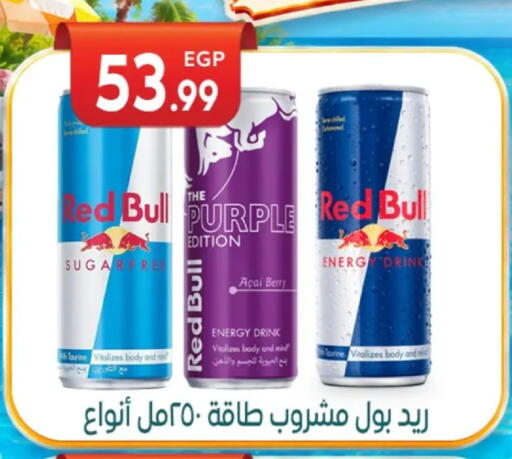 Acai Berry available at El mhallawy Sons in Egypt - Cairo