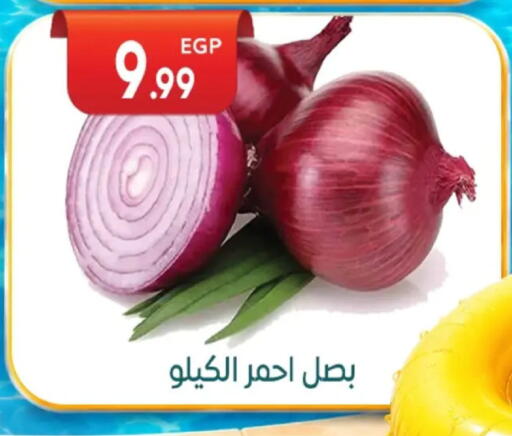 available at أولاد المحاوى in Egypt - القاهرة
