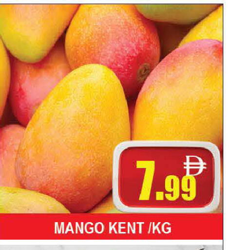 Mango available at AL MADINA (Dubai) in UAE - Dubai