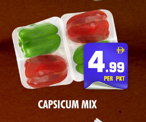 Capsicum available at NIGHT TO NIGHT DEPARTMENT STORE in UAE - Sharjah / Ajman