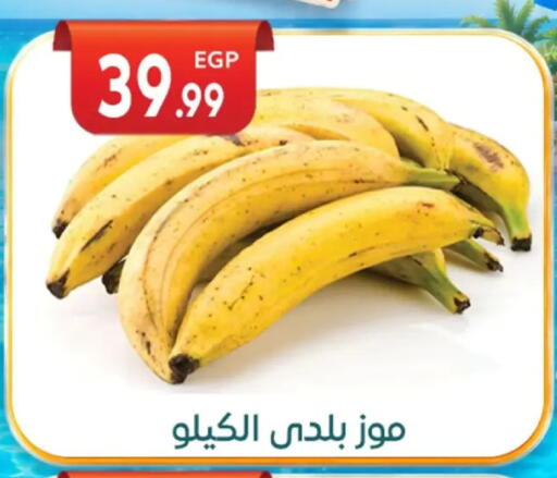 available at أولاد المحاوى in Egypt - القاهرة