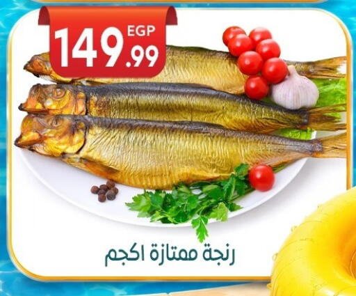 available at المحلاوي ماركت in Egypt - القاهرة