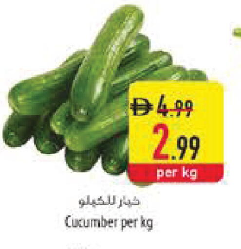 Cucumber available at Safeer Market in UAE - Ras al Khaimah