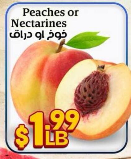available at هايبر ماركت دريم in Egypt - القاهرة
