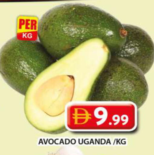 Avocado from Uganda available at جراند هايبر ماركت in الإمارات العربية المتحدة , الامارات - دبي