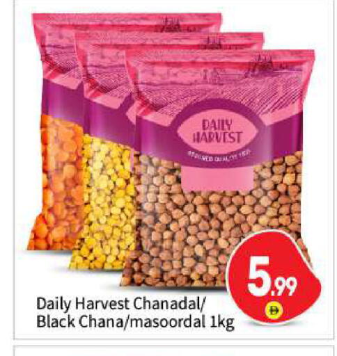 available at بيج مارت in الإمارات العربية المتحدة , الامارات - أبو ظبي