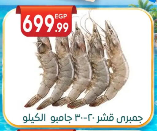 available at أولاد المحاوى in Egypt - القاهرة