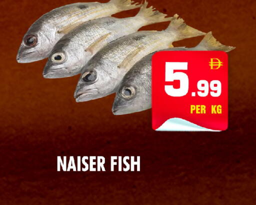 available at NIGHT TO NIGHT DEPARTMENT STORE in UAE - Sharjah / Ajman