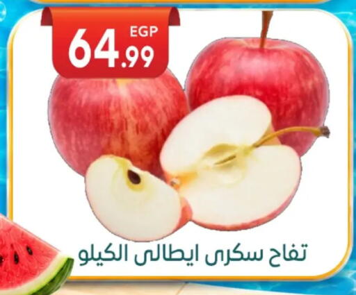 available at أولاد المحاوى in Egypt - القاهرة