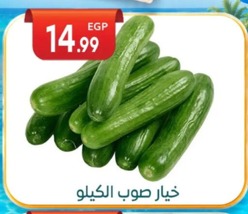 available at أولاد المحاوى in Egypt - القاهرة