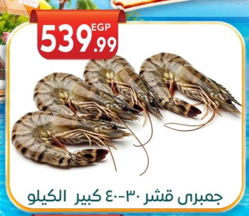 available at المحلاوي ماركت in Egypt - القاهرة