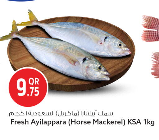available at سفاري هايبر ماركت in قطر - الدوحة