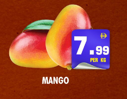 Mango available at NIGHT TO NIGHT DEPARTMENT STORE in UAE - Sharjah / Ajman