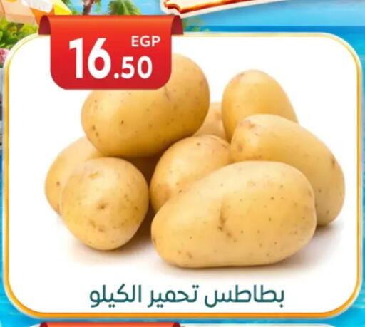 available at أولاد المحاوى in Egypt - القاهرة