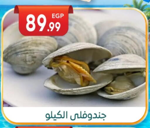 available at أولاد المحاوى in Egypt - القاهرة