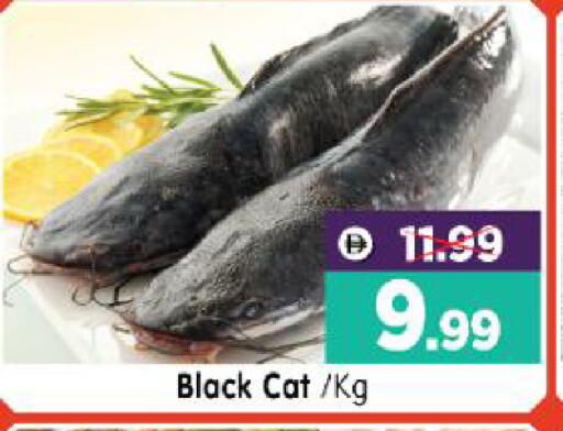 available at هايبر ماركت المدينة in الإمارات العربية المتحدة , الامارات - أبو ظبي
