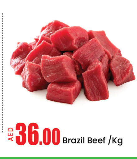 Mango available at مانجو هايبرماركت in الإمارات العربية المتحدة , الامارات - دبي
