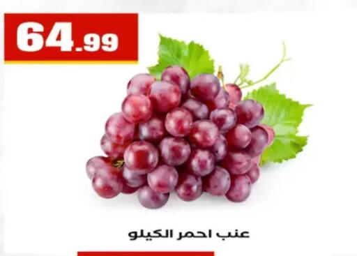 available at El Mahlawy Stores in Egypt - Cairo