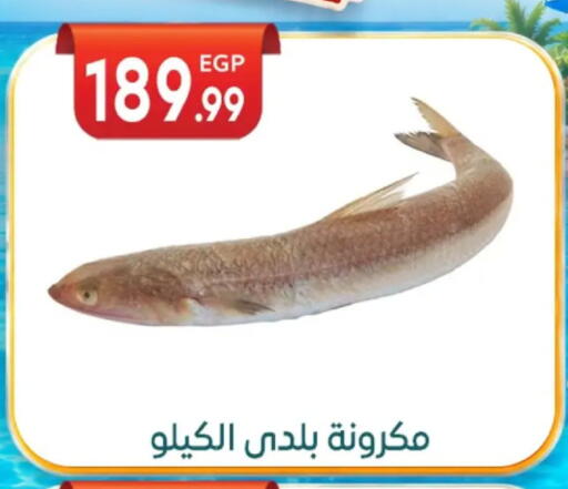 available at أولاد المحاوى in Egypt - القاهرة