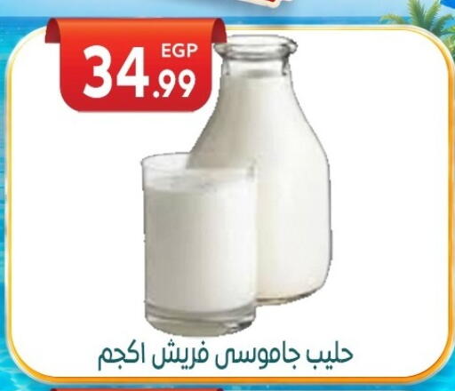 available at المحلاوي ماركت in Egypt - القاهرة