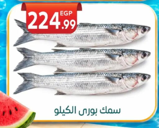 available at أولاد المحاوى in Egypt - القاهرة