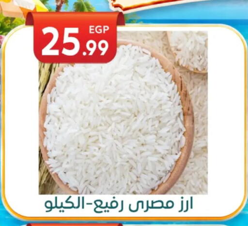 available at أولاد المحاوى in Egypt - القاهرة
